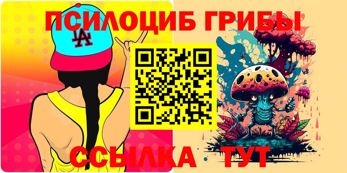 Псилоцибиновые грибы мицелий Ковров