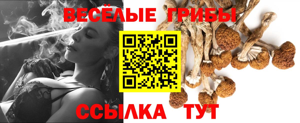 Ковров  Псилоцибиновые грибы Psilocybine cubensis  Вход с VPN 